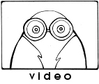 video video
